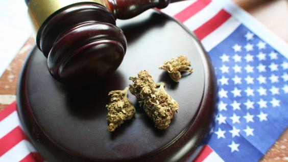 风波又起！国会投票阻止特朗普重新分类大麻，但对州医用大麻实施保护