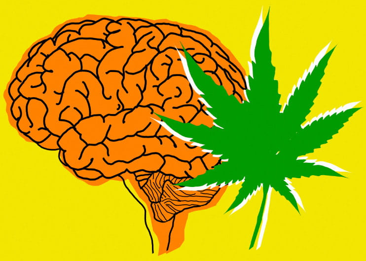 医用大麻与痴呆症