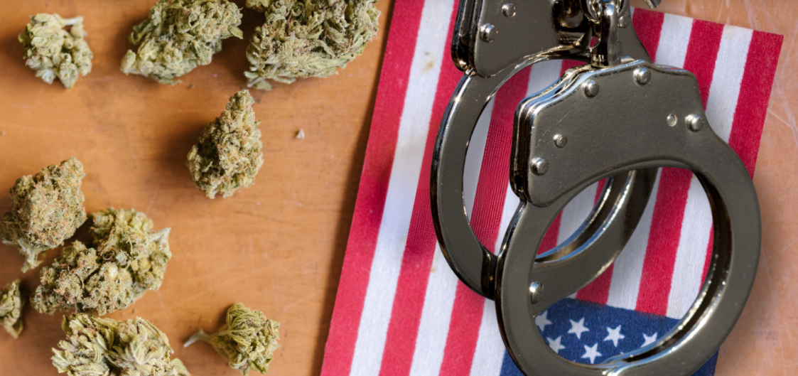 FBI数据显示，美国去年有超过20万人因大麻被捕