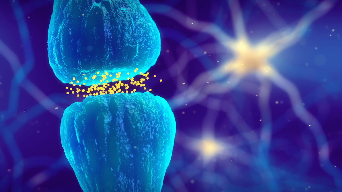 探索内源性大麻素系统：每位临床医生都应该掌握的知识