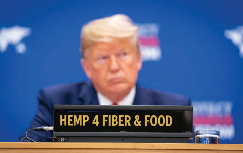 美国汉麻产业大地震！特朗普签署法案将汉麻THC 刑罪化，百亿美元市场即将灰飞烟灭