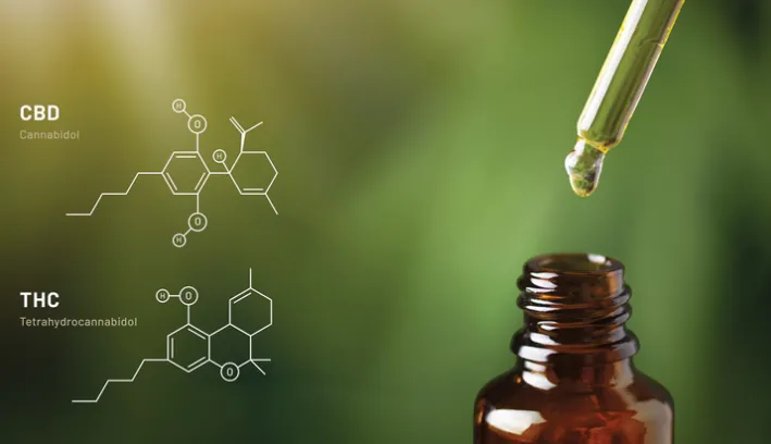 重要里程碑！英国发布首个医用大麻油综合剂量指南