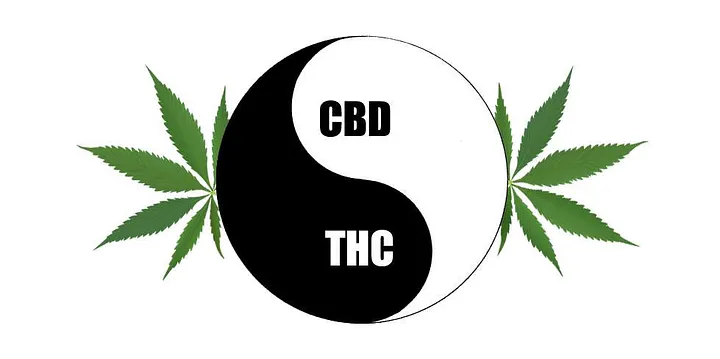 CBD会在胃里转化为THC吗？