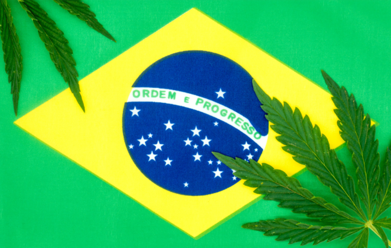 开始行动，巴西监管机构将遵循科学证据重启汉麻法规制定工作