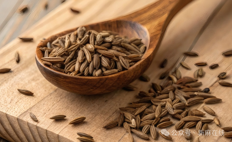 你知道吗，CBD就藏在你的厨房中