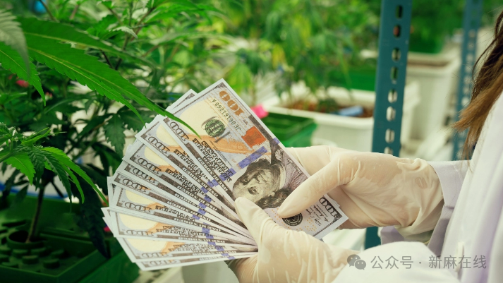 2026年美国大麻投资策略：重新分类成变革性催化剂，市场长期利好但增长缓慢，大麻股票将重新估值