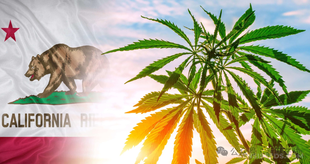 加州拨款3000万美元，用于研究THC饮料、萜烯和新型大麻素治疗潜力等