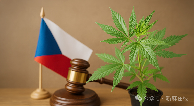 数据出炉：2025年捷克医用大麻市场增长了46%，9个月处方就超4万张