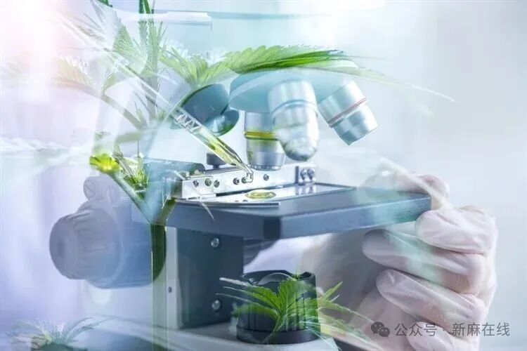 重要研究〡CBD纳米制剂治疗皮肤病：治疗证据和疗效系统评价