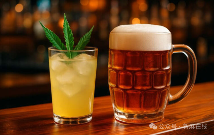 新研究表明：大麻饮料是一种“危害更少”的酒精替代品