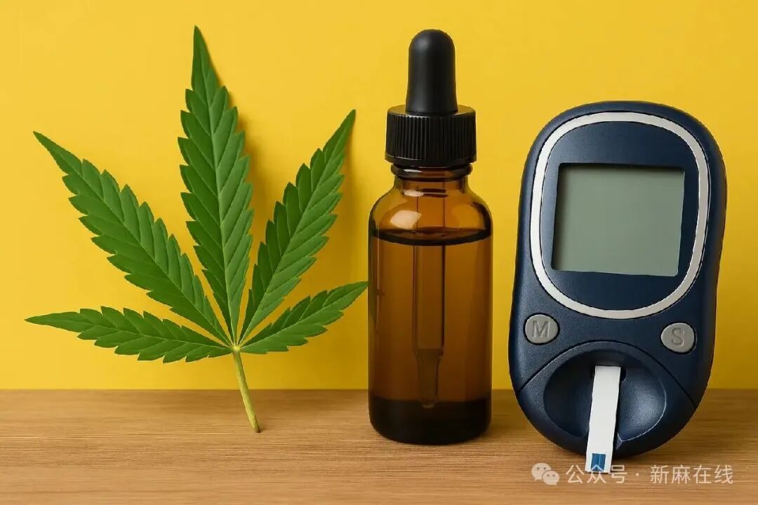 以色列研究表明：医用大麻能缓解糖尿病神经病变并稳定血糖