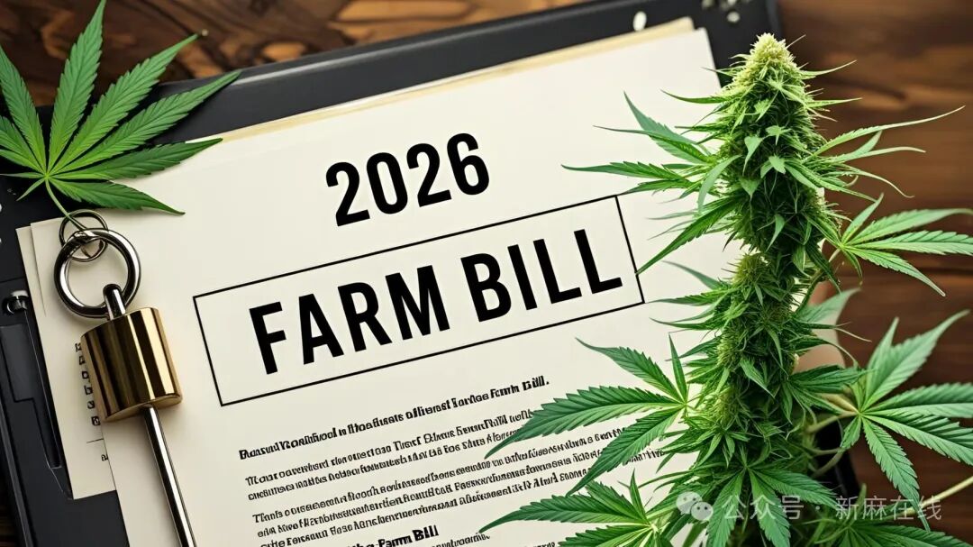 新版农业法案有望减轻工业大麻生产商的监管负担，但THC仍是核心