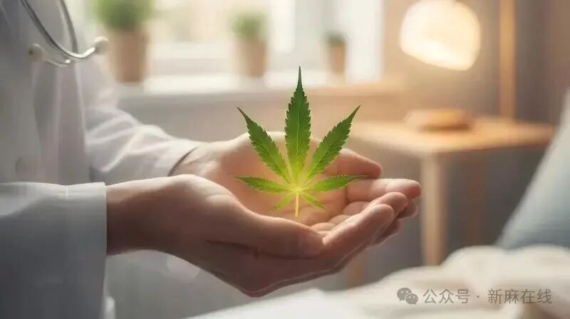 绝症患者与医用大麻