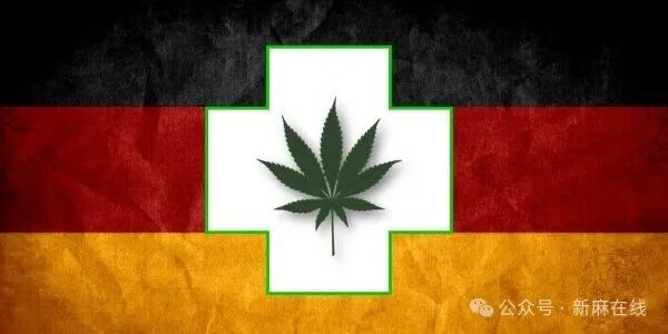 合法化两年了，德国大麻产业现状究竟如何