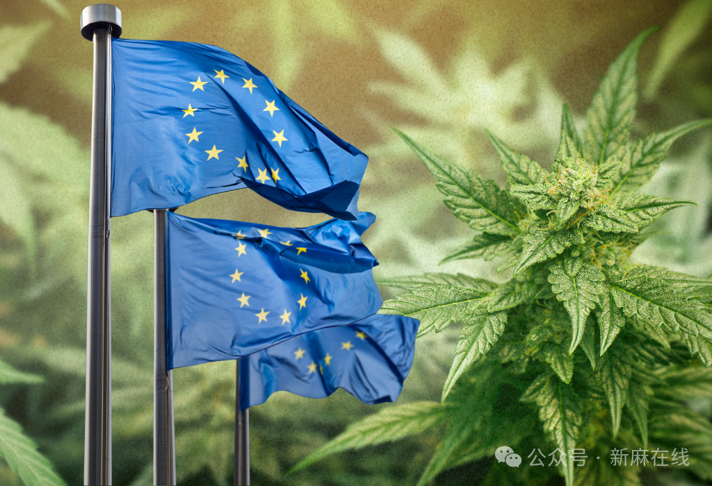 最新消息，欧盟正在酝酿将工业大麻THC含量限制提高至1%
