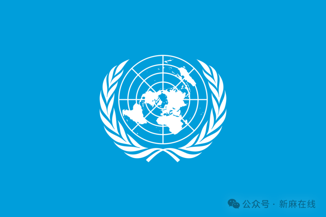 联合国麻委会专家组名单公布，将塑造全球毒品政策的未来