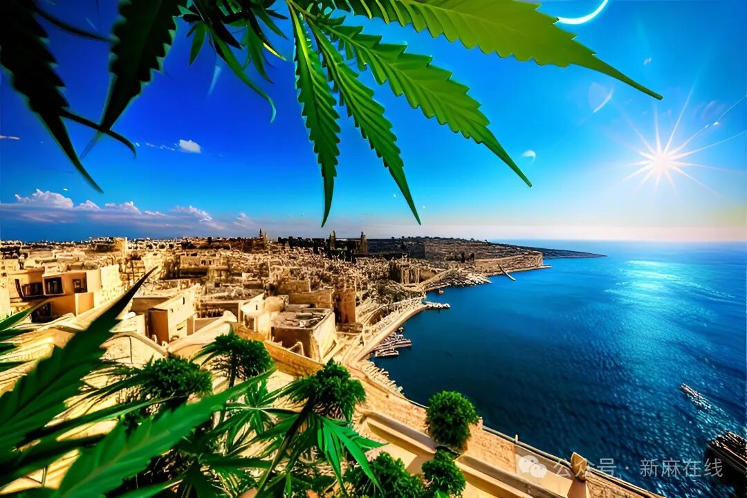 马耳他更新大麻监管框架，允许协会可持有最多3.5公斤大麻