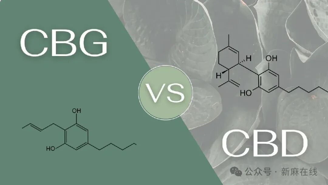CBD+CBG纳米封装治疗结肠炎：靶向肠道治疗领域的重要突破