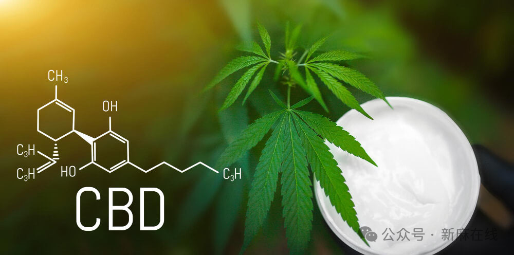 欧洲CBD困境：临床证据与食品法律的持久争论