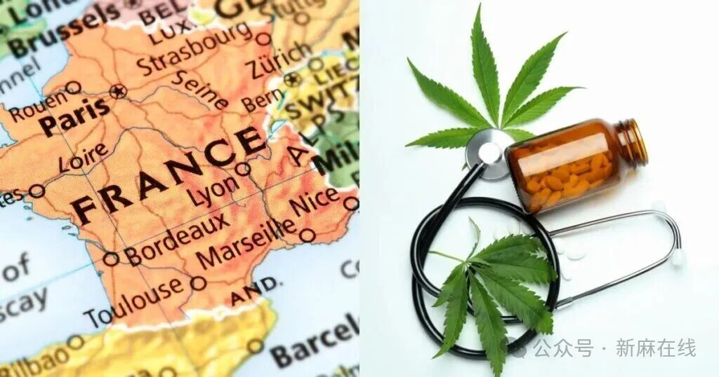 重磅！久经拖延的法国医用大麻报销计划终于揭晓