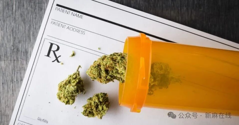 德国研究发现：高THC大麻对图雷特综合征儿童治疗作用明显