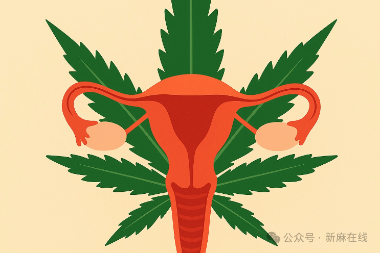 新西兰首个研究表明：医用大麻能显著减轻子宫内膜异位症相关疼痛