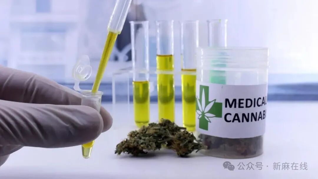 最新研究摘要：大麻对疼痛、偏头痛和自闭症的治疗效果