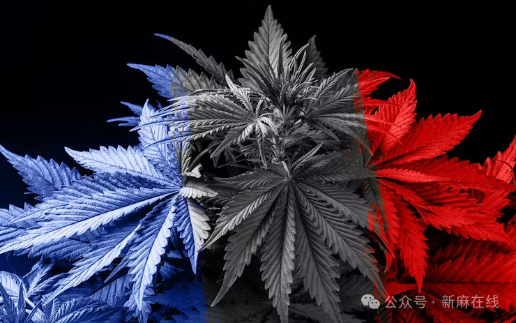 法国制定2027年医用大麻合法化时间表