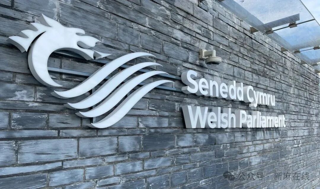 威尔士通过动议，保障医用大麻患者的权益