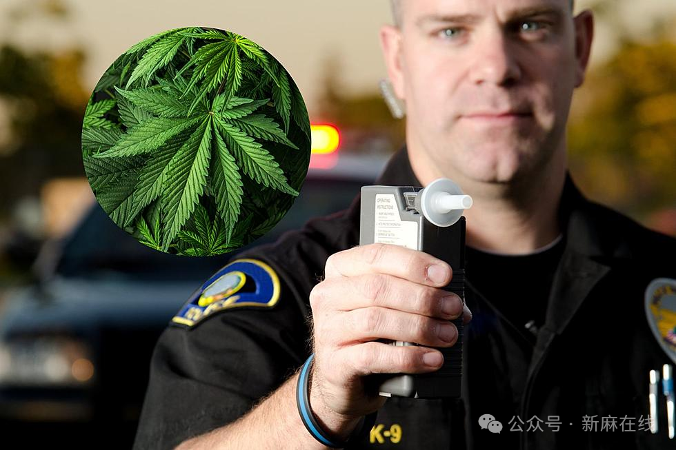 突破，美国开发新型大麻呼气检测设备，可快速检测THC、CBD和CBN