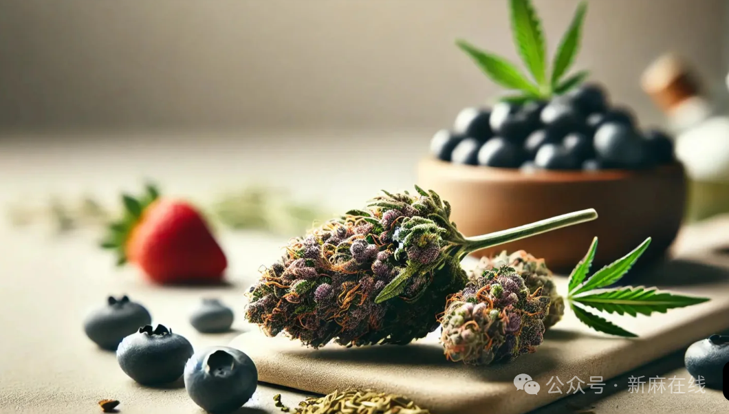 大麻的妙用：延长冻干浆果保质期的重要物质