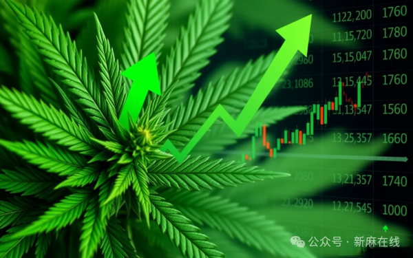 新法案来了，美国大麻企业有望在纳斯达克上市并获金融服务