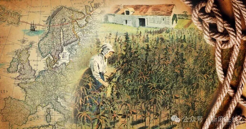 欧洲汉麻产业保卫战