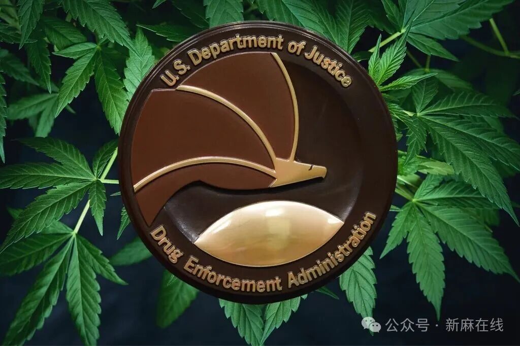 快讯，美国缉毒局开始受理医用大麻企业的联邦保护申请