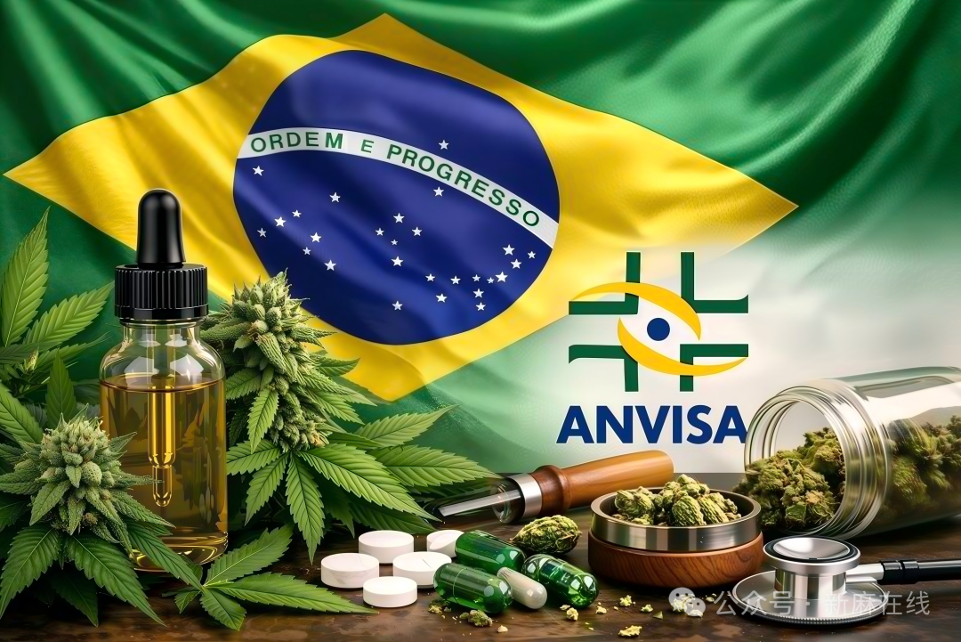 医用大麻患者人数悄然突破87万，这个国家已与德国看齐