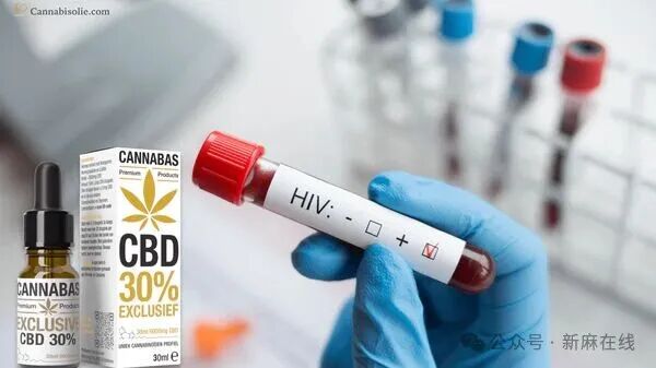 突破！法国最新研究表明，CBD有助于预防艾滋病毒感染