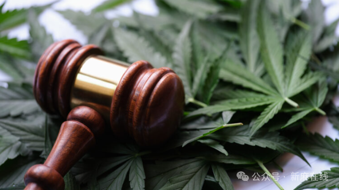 DEA公布本周大麻重新分类听证会作证时间表