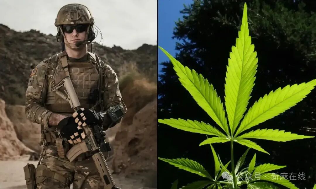 美国国会将扩大对THC检测呈阳性的新兵的豁免范围