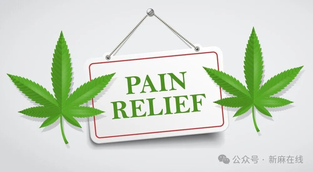 德国启动医用大麻治疗疼痛的临床试验