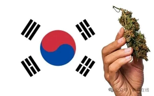 韩国推动医用大麻法规现代化改革，寻求国内监管生产