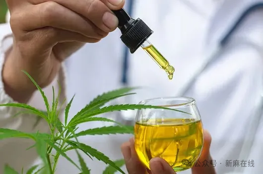 巴西医用大麻市场的价值究竟有多大