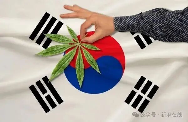 韩国投资2100万美元开发医用级次要大麻素