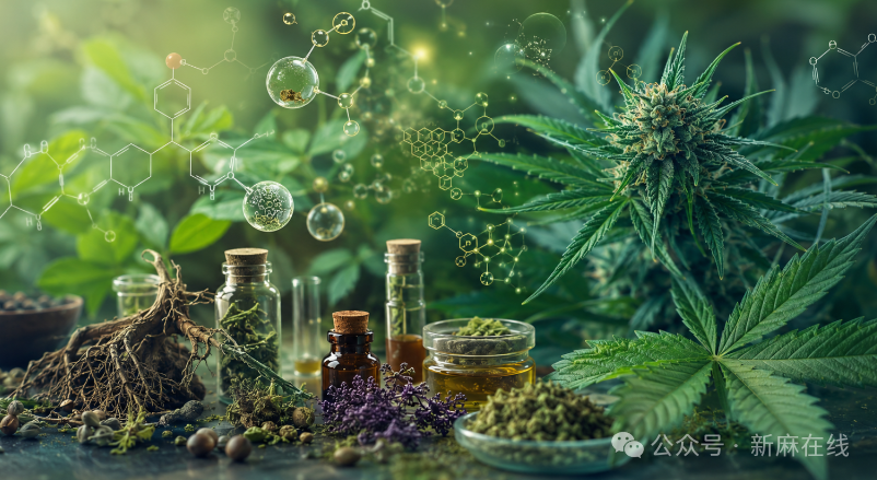 除了THC和CBD，大麻科学可能会被这750种代谢物所改变