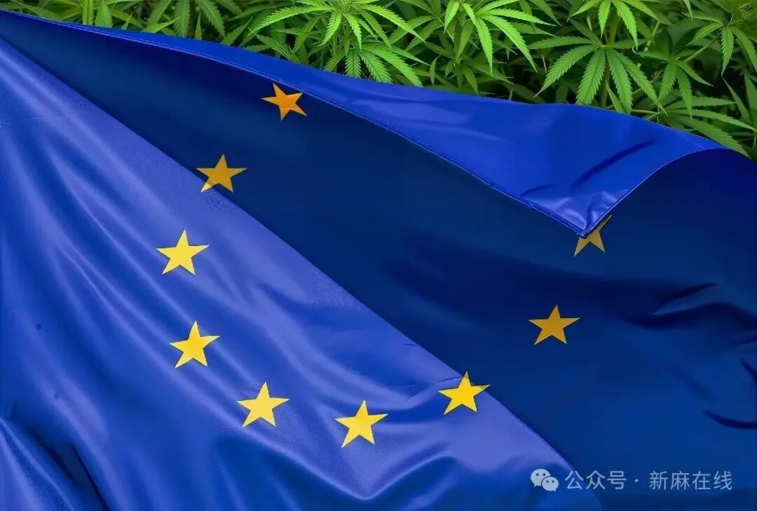 正在经历最深远监管改革的欧州医用大麻产业