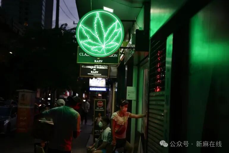 泰国大麻产业岌岌可危，总理阿努廷威胁要取缔